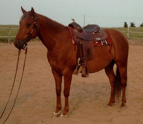 Wallach Firebird Dellorianace ('Fire')