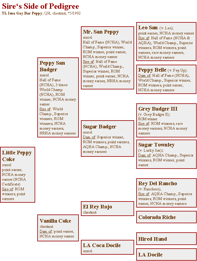 Pedigree von TL Ima Gay Bar Peppy (Sire's Side)